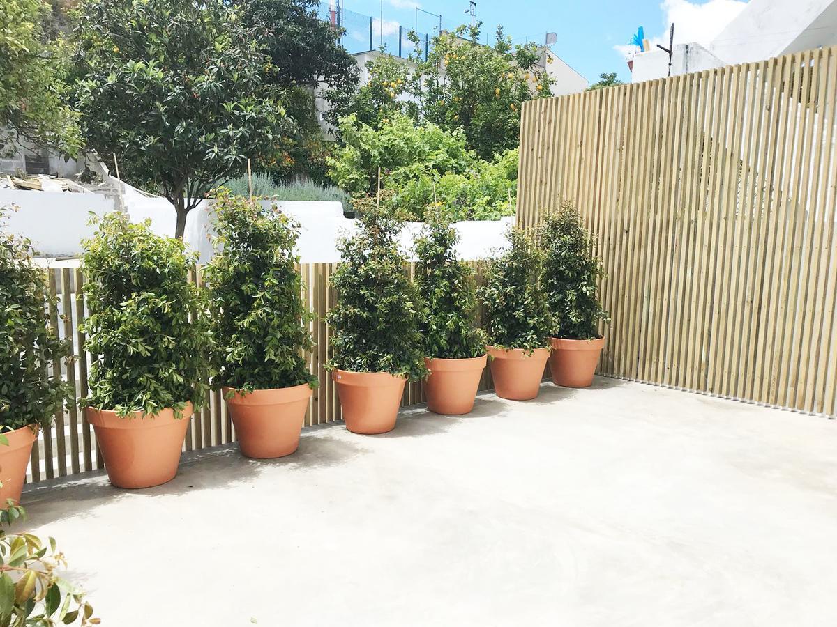 דירות Cozy Lisbon Graca מראה חיצוני תמונה